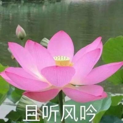 向波涛任清华大学党委常务副书记